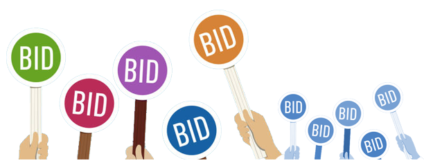 auction Bid